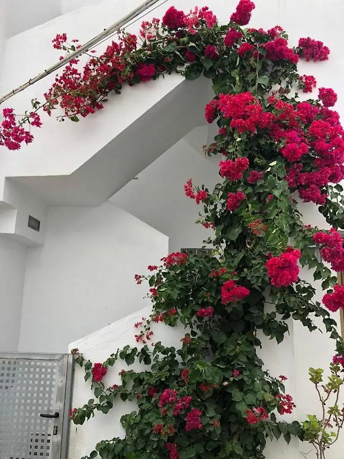Apartamento La Ola Conil De La Frontera 0*,  Spain